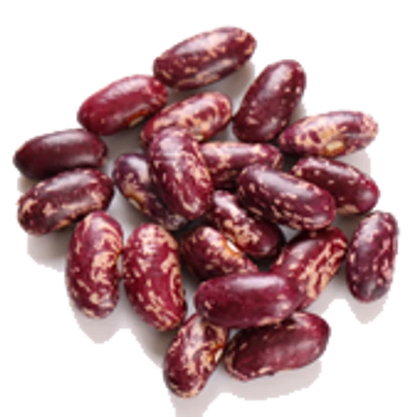 Red Speckled Beans
