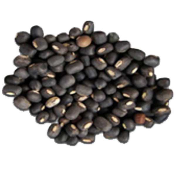 Black Matpe