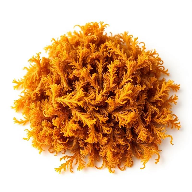 Sea Moss