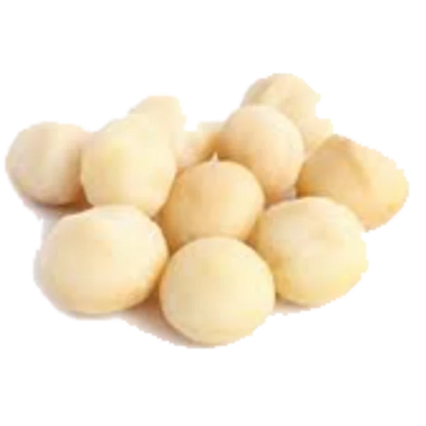 Macadamia